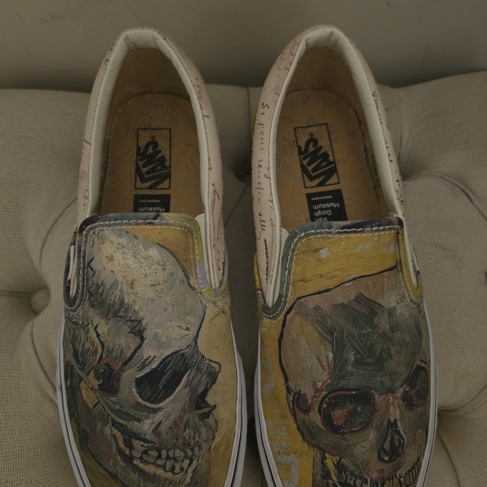 Vans Skull Art Slip-On Shoes